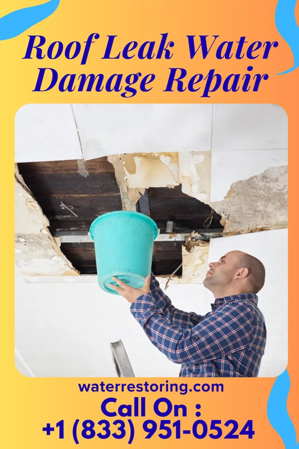 Roof Leak Water Damage Repair in Bovina, TX